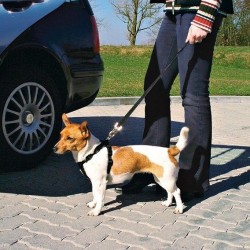Harnais de Sécurité pour Voiture