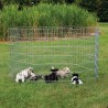 Enclos pour chiots