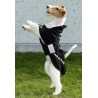 VESTE POLAIRE POUR CHIEN