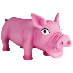 Cochon en Latex