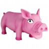 Cochon en Latex
