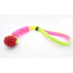 Raspberry