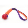 Raspberry