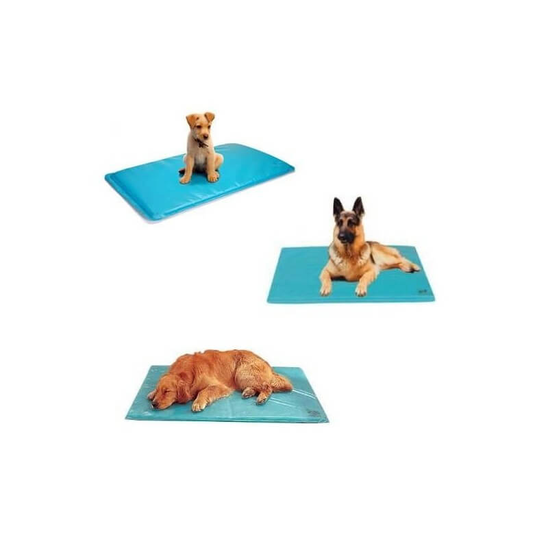 Tapis Thermo Bed Pro - Qualité professionnelle
