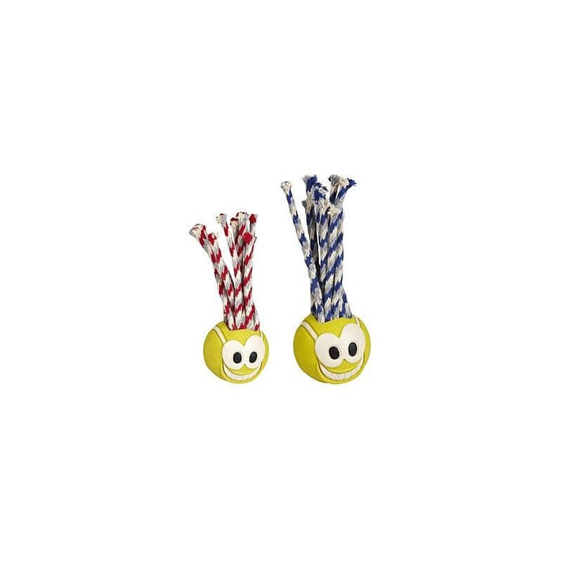 CHUCKIT - Fanatic Ball  - 1