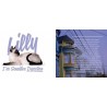 BRIT CARE : Lilly I'Ve Sensitive Digestion - Alimentation pour chat Sensible 