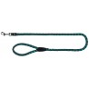 CAVO - Laisse pour chien  trixie - 5