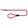 CAVO - Laisse pour chien  trixie - 7