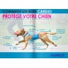 FITPAWS - GUIDE PROPRIOCEPTION