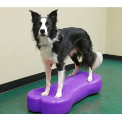 FITPAWS - Giant Fit Bone