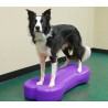 FITPAWS - Giant Fit Bone