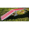 ECOLE DU CHIOT : La passerelle Animo-Concept - 1