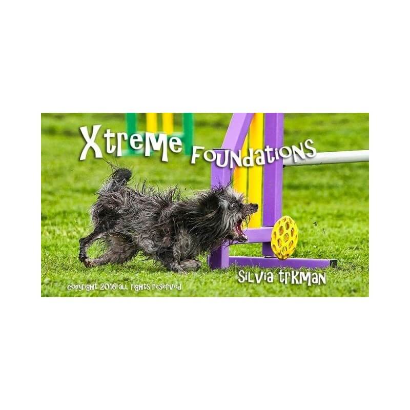 DVD XTREME FOUNDATIONS - silvia trkman
