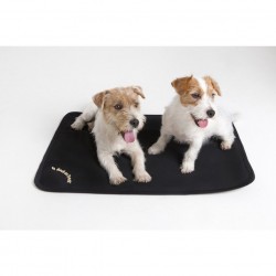 BACK ON TRACK - Matelas de cage