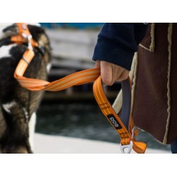 DOG COPENHAGEN : Laisse Urban Freestyle