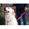 DOG COPENHAGEN : Laisse Urban Freestyle