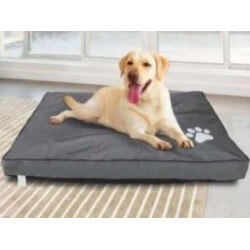 Coussin Confort Déhoussable et lavable 