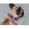 DOG COPENHAGEN : Collier Urban Explorer