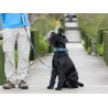DOG COPENHAGEN : Collier Urban Explorer
