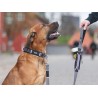 DOG COPENHAGEN : Collier Urban Explorer