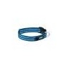DOG COPENHAGEN : Collier Urban Style