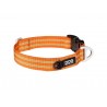 DOG COPENHAGEN : Collier Urban Style