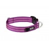 DOG COPENHAGEN : Collier Urban Style