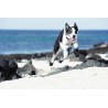 HURTTA Outback bottines anti-glisse en softshell pour chien