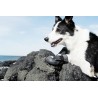 HURTTA Outback bottines anti-glisse en softshell pour chien