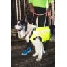HURTTA Veste de visibilité en Softshell rembourrée polaire pour chien
