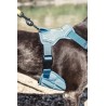 HURTTA  COOLING Harnais rafraîchissant pour chien