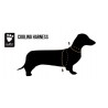 HURTTA  COOLING Harnais rafraîchissant pour chien