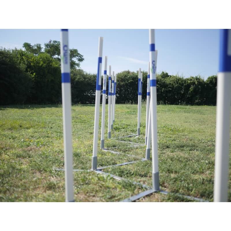 AGILITY RUN : Slalom couloir d'entraînement  - 1