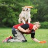 Dog Disc  - 4