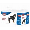 Couches pour chiens femelles  - 1