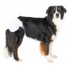 Couches pour chiens femelles  - 2