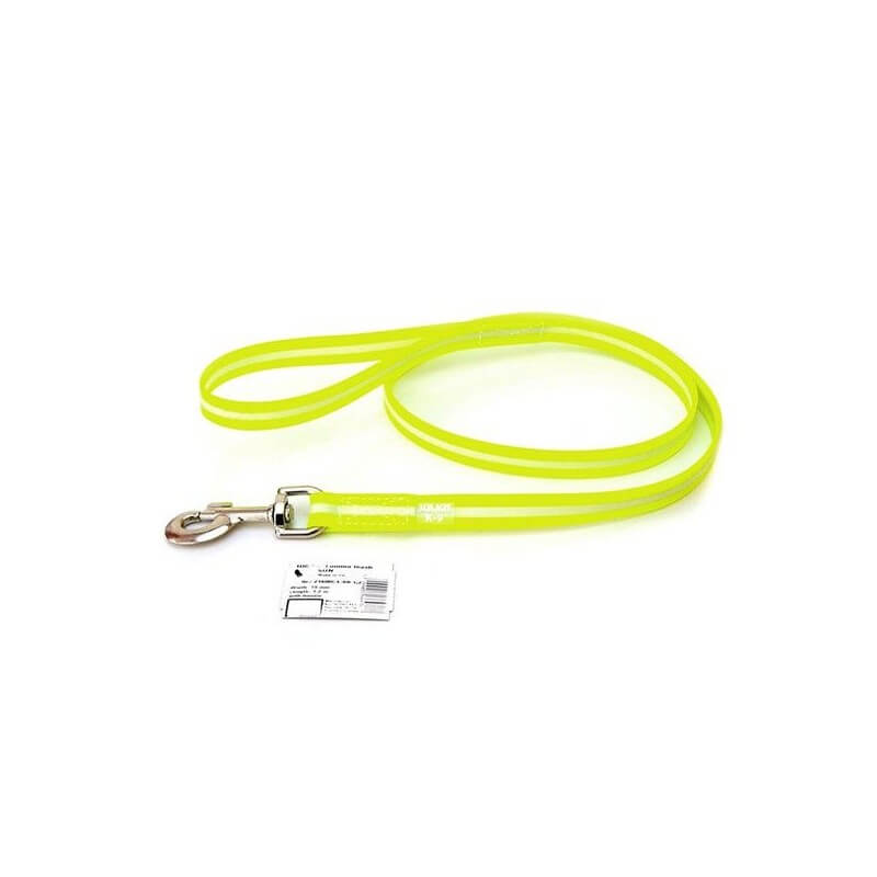 Laisse lumino