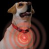 Nite Ize SpotLit