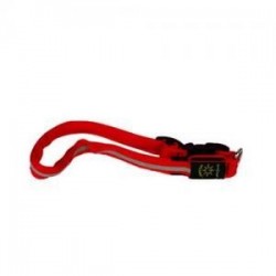 NiteDawg COLLIER LED