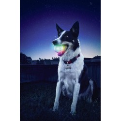 Glow Streak LED  - 1