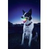 Glow Streak LED  - 1