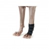 BACK-ON-TRACK : Protection Patte Avant