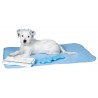Pack chiot 