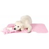 Pack chiot 