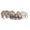 Gamelle Junior pour chiots  - 3