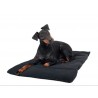BACK-ON-TRACK : Mini Plaid pour Chien