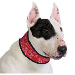 AQUA COOLKEEPER - Collier rafraîchissant pour chien Aqua Coolkeeper - 1