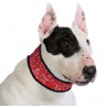 AQUA COOLKEEPER - Collier rafraîchissant pour chien Aqua Coolkeeper - 1