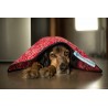 AQUA COOLKEEPER - Tapis rafraîchissant pour chien Aqua Coolkeeper - 3