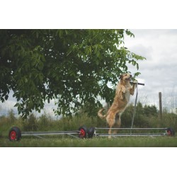BOUGE TOIT pour Palissade d'Agility 8